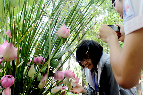 Nhiều bạn trẻ thích thú ngắm hoa sen hồng trong thời gian diễn ra cuộc bình chọn quốc hoa ở TP HCM.